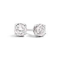 Ohrringe Recarlo Dame Anniversary in Weißgold XE01PX001/045